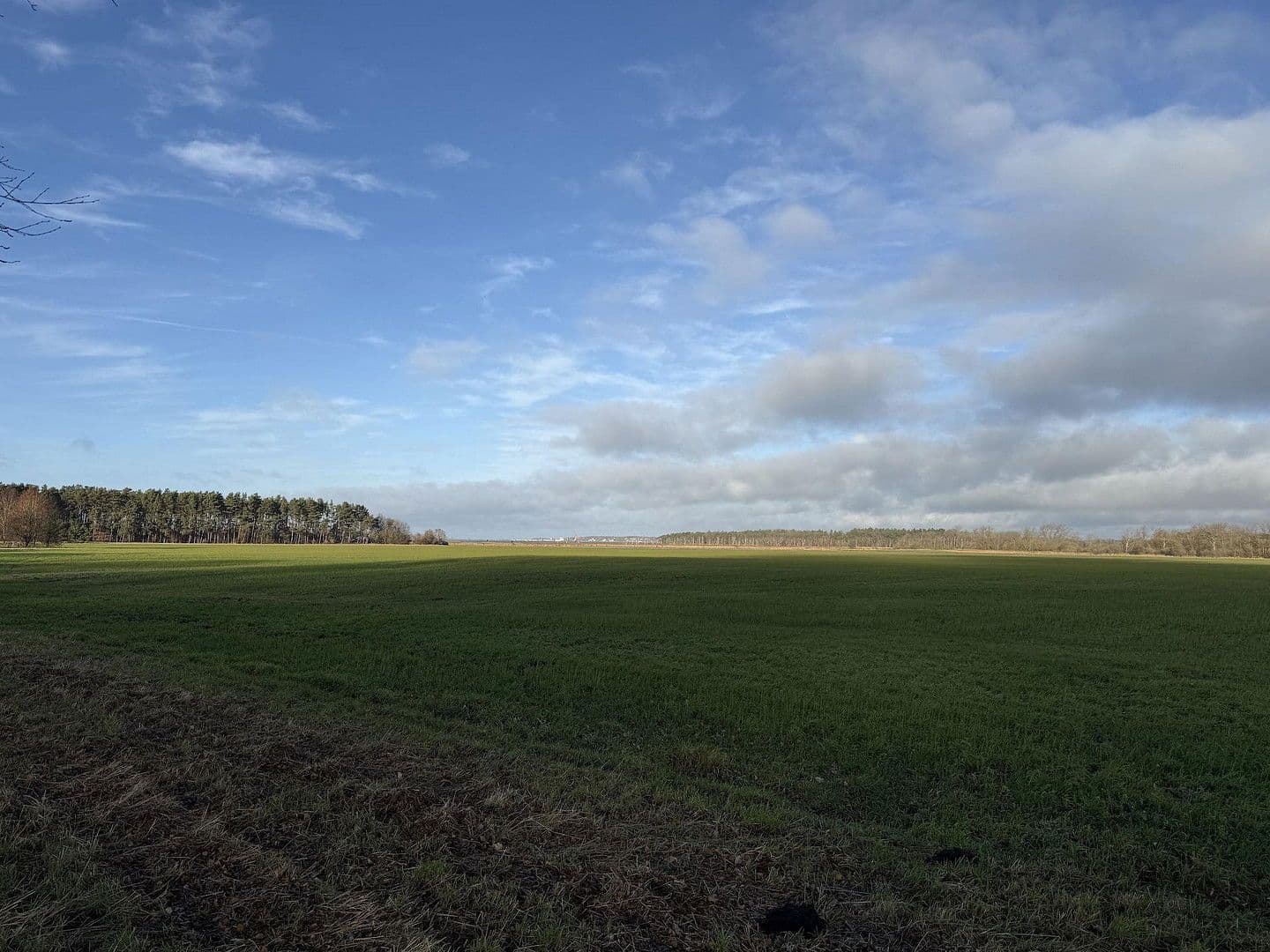 Predaj domu 100 m², pozemek 450 m², Zum Haff 1, Am Salzhaff, Meklenbursko-Predpomoransko Predaj domu 100 m², pozemek 450 m², Zum Haff 1, Am Salzhaff, Meklenbursko-Predpomoransko