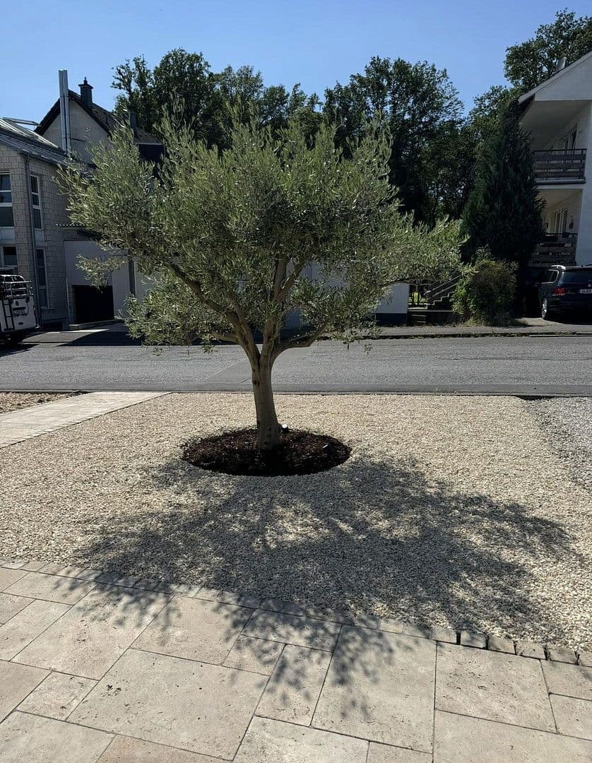 Predaj domu 240 m², pozemek 480 m², Rösrath, Severné Porýnie - Westfálsko Predaj domu 240 m², pozemek 480 m², Rösrath, Severné Porýnie - Westfálsko