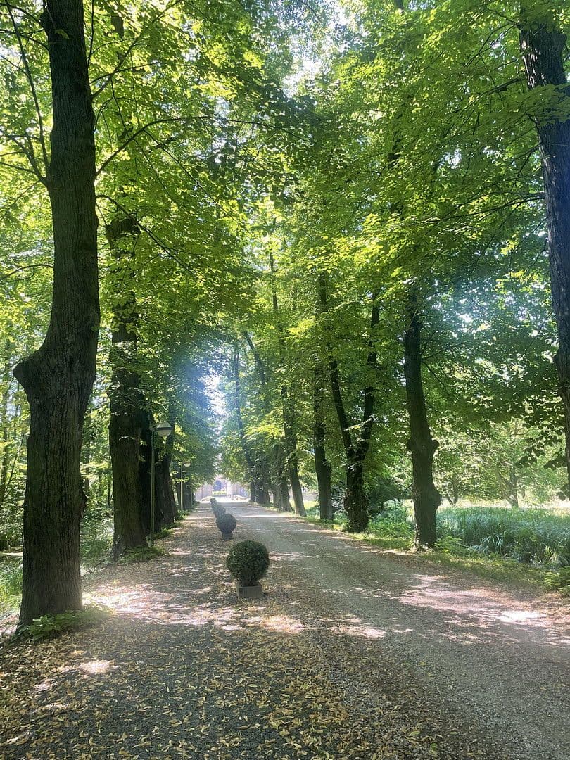 Predaj bytu 2-izbový 60 m², Bergheim, Severné Porýnie - Westfálsko Predaj bytu 2-izbový 60 m², Bergheim, Severné Porýnie - Westfálsko