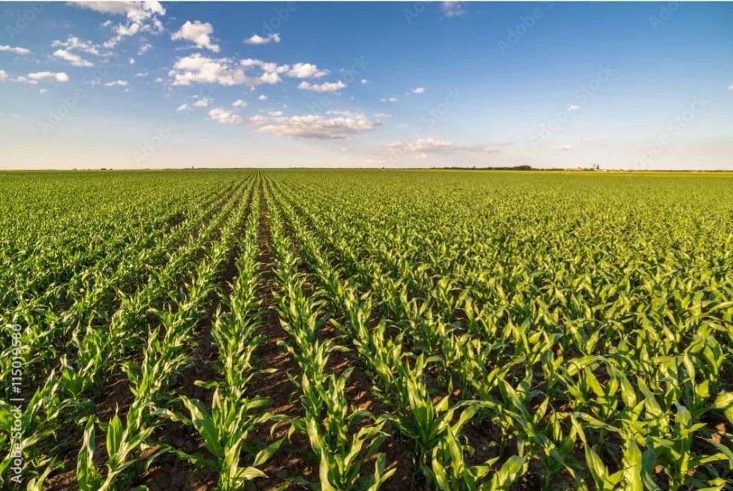 Predaj pozemku 23.000.000 m², Waidhaus, Bavorsko Predaj pozemku 23.000.000 m², Waidhaus, Bavorsko