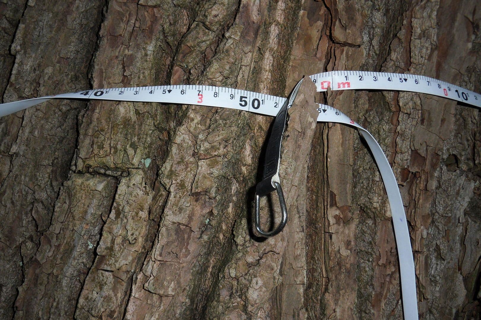 Predaj domu 120 m², pozemek 23.459 m², Tangstedt, Šlezvicko-Holštajnsko Predaj domu 120 m², pozemek 23.459 m², Tangstedt, Šlezvicko-Holštajnsko