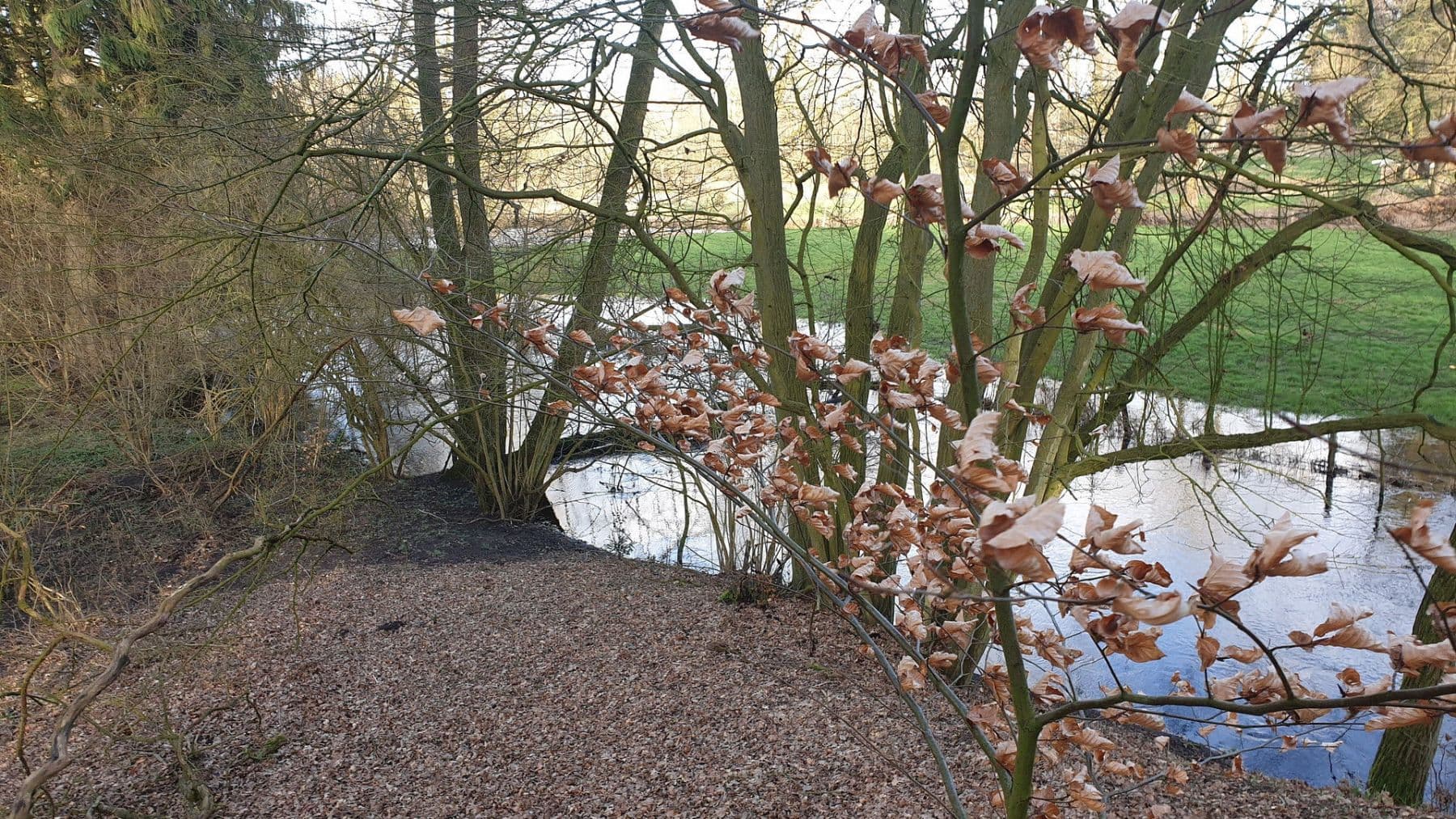 Predaj domu 120 m², pozemek 23.459 m², Tangstedt, Šlezvicko-Holštajnsko Predaj domu 120 m², pozemek 23.459 m², Tangstedt, Šlezvicko-Holštajnsko