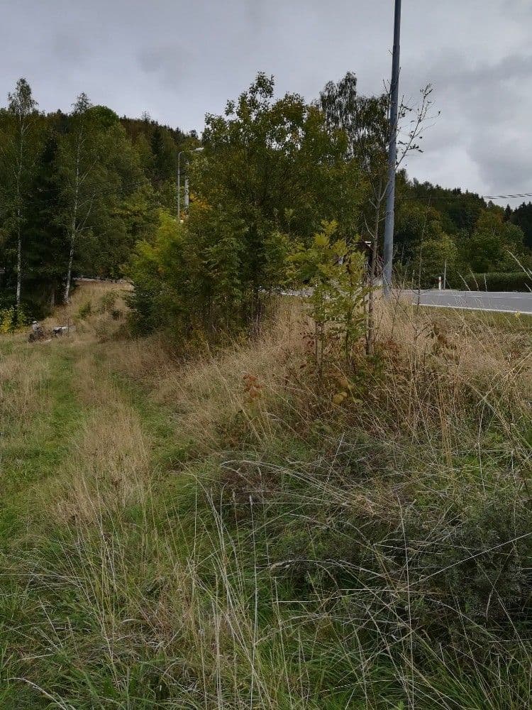 Predaj pozemku 1.034 m², Krkonošská, Desná, Liberecký kraj Predaj pozemku 1.034 m², Krkonošská, Desná, Liberecký kraj