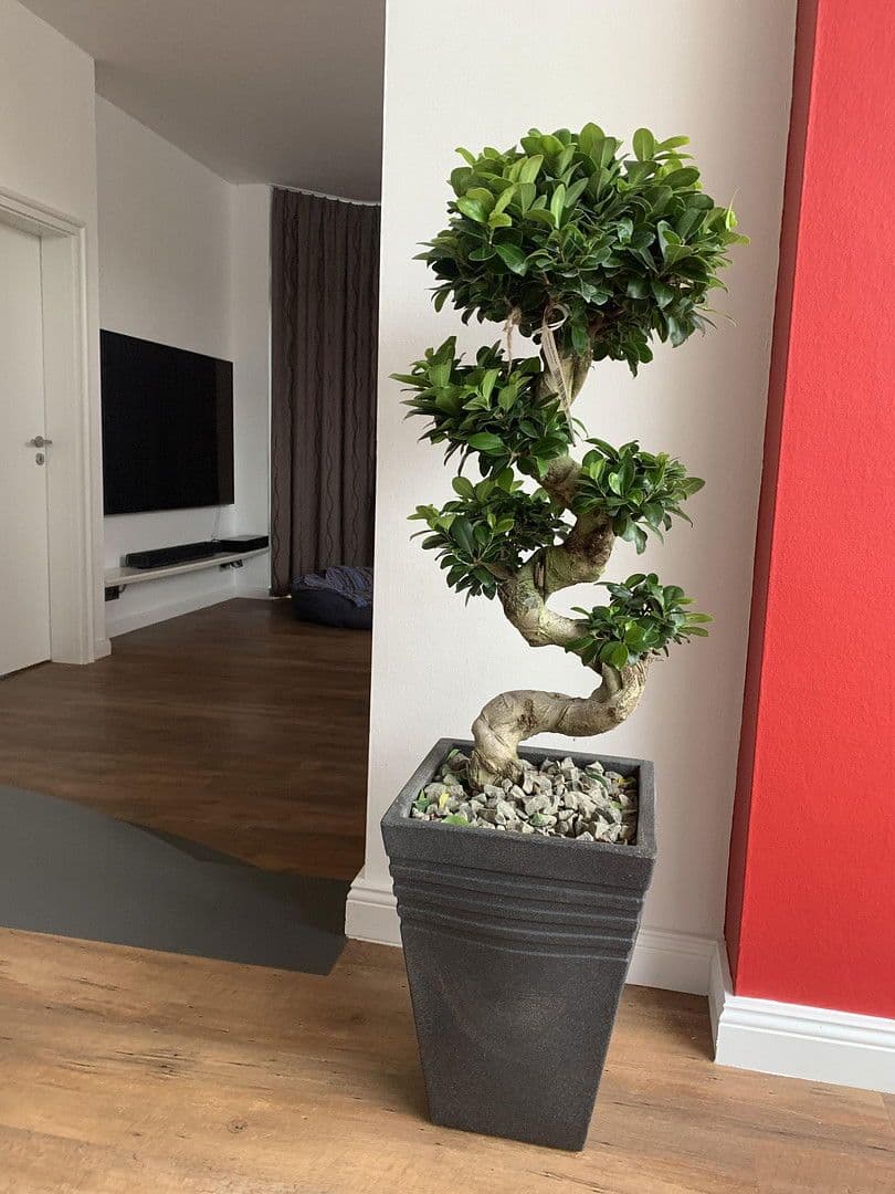 Predaj domu 174 m², pozemek 789 m², Lüninghauser Str. 111, Lilienthal, Dolné Sasko Predaj domu 174 m², pozemek 789 m², Lüninghauser Str. 111, Lilienthal, Dolné Sasko