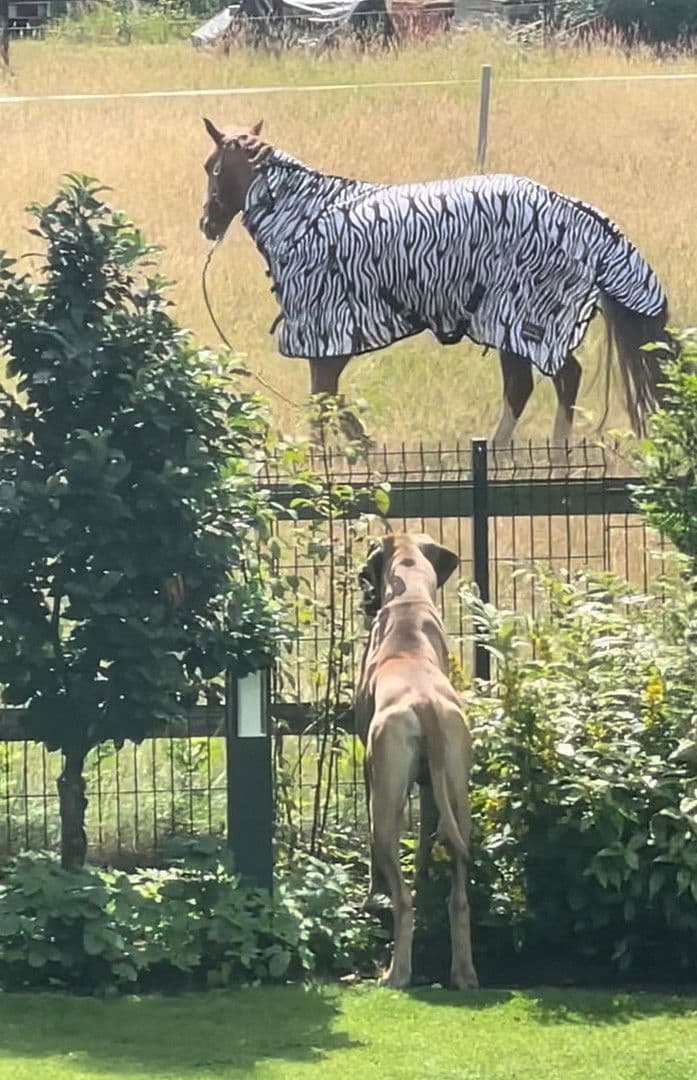 Predaj domu 174 m², pozemek 789 m², Lüninghauser Str. 111, Lilienthal, Dolné Sasko Predaj domu 174 m², pozemek 789 m², Lüninghauser Str. 111, Lilienthal, Dolné Sasko