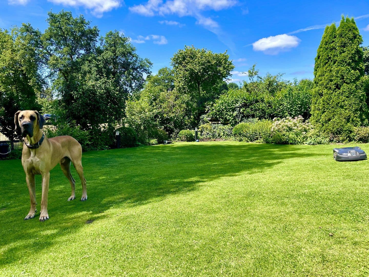 Predaj domu 174 m², pozemek 789 m², Lüninghauser Str. 111, Lilienthal, Dolné Sasko Predaj domu 174 m², pozemek 789 m², Lüninghauser Str. 111, Lilienthal, Dolné Sasko