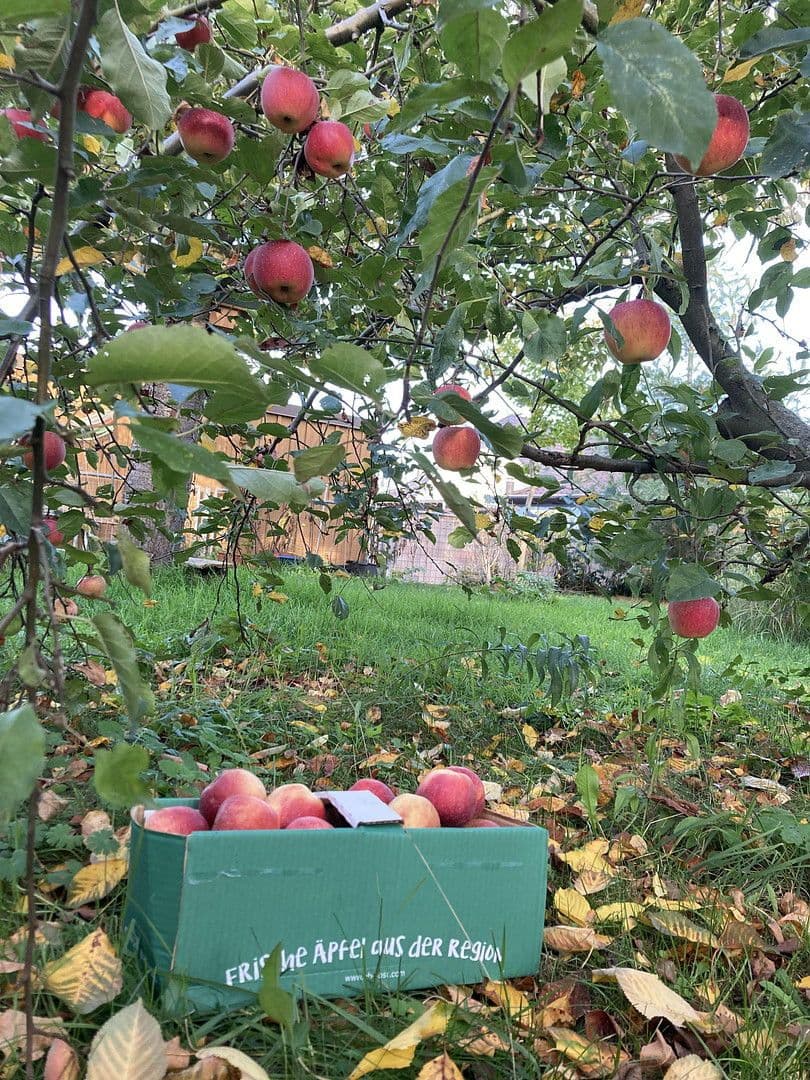 Predaj domu 136 m², pozemek 600 m², Nauen, Brandenbursko Predaj domu 136 m², pozemek 600 m², Nauen, Brandenbursko