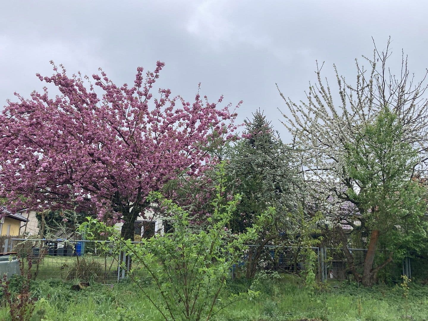 Predaj domu 136 m², pozemek 600 m², Nauen, Brandenbursko Predaj domu 136 m², pozemek 600 m², Nauen, Brandenbursko