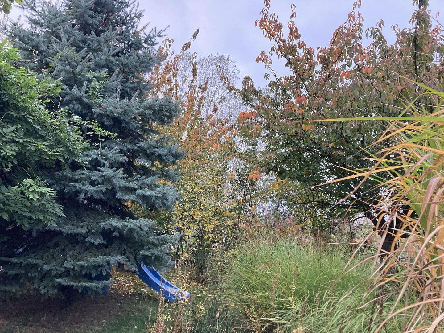 Predaj domu 136 m², pozemek 600 m², Nauen, Brandenbursko Predaj domu 136 m², pozemek 600 m², Nauen, Brandenbursko