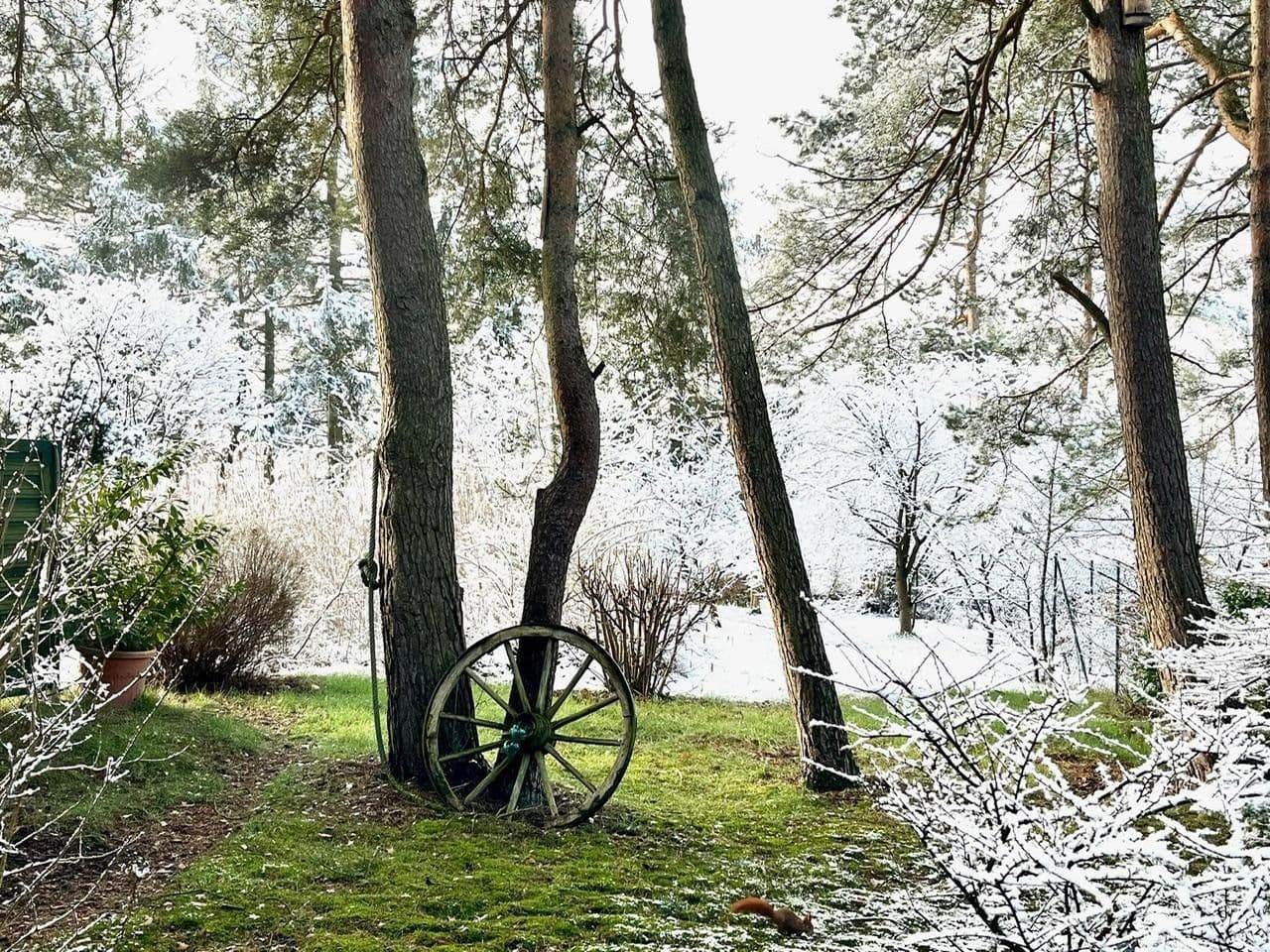 Predaj domu 115 m², pozemek 1.685 m², Meisenweg 16, Kirchseelte, Dolné Sasko Predaj domu 115 m², pozemek 1.685 m², Meisenweg 16, Kirchseelte, Dolné Sasko