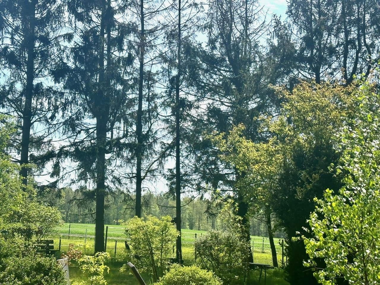 Predaj domu 115 m², pozemek 1.685 m², Meisenweg 16, Kirchseelte, Dolné Sasko Predaj domu 115 m², pozemek 1.685 m², Meisenweg 16, Kirchseelte, Dolné Sasko