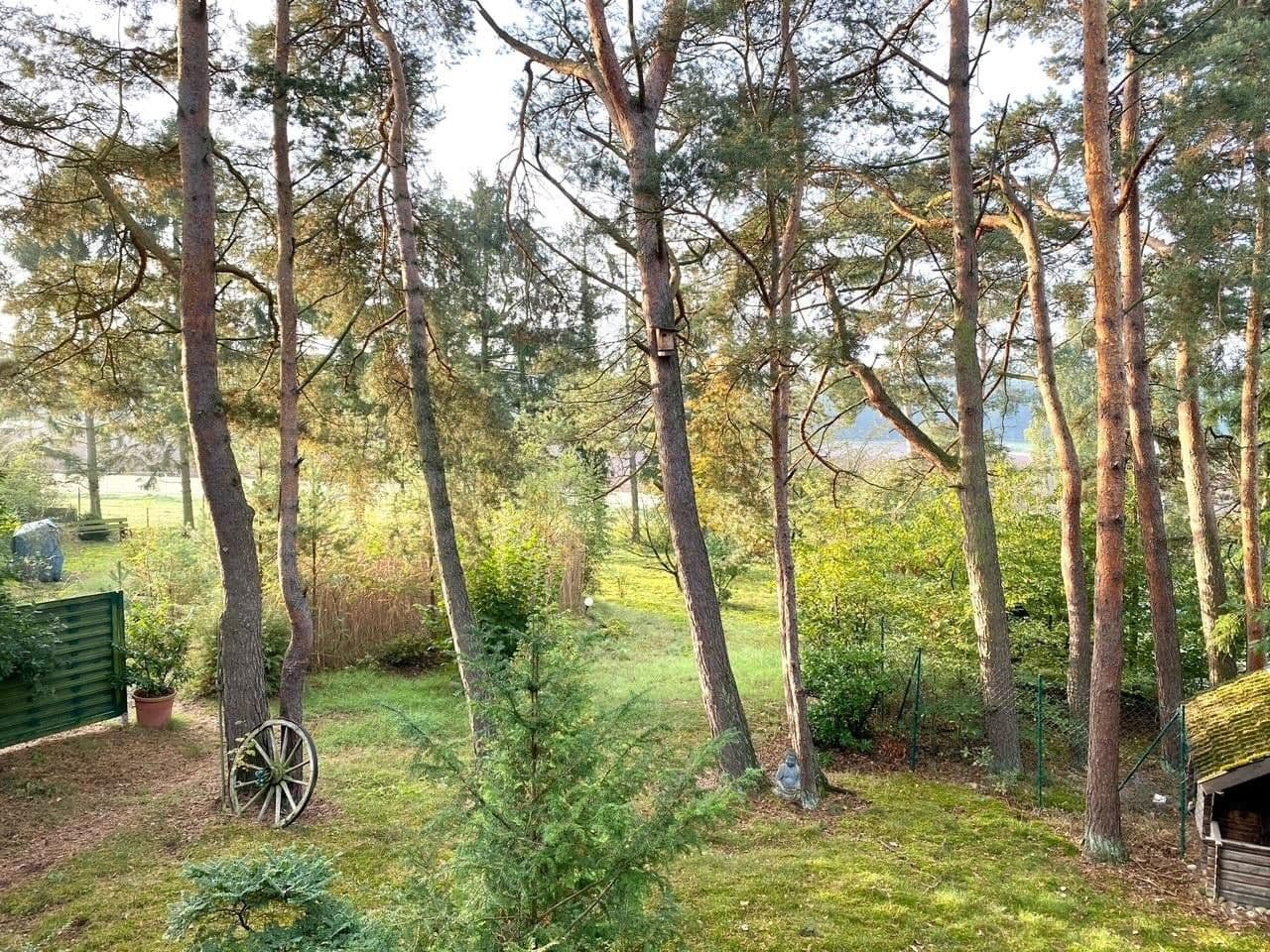 Predaj domu 115 m², pozemek 1.685 m², Meisenweg 16, Kirchseelte, Dolné Sasko Predaj domu 115 m², pozemek 1.685 m², Meisenweg 16, Kirchseelte, Dolné Sasko