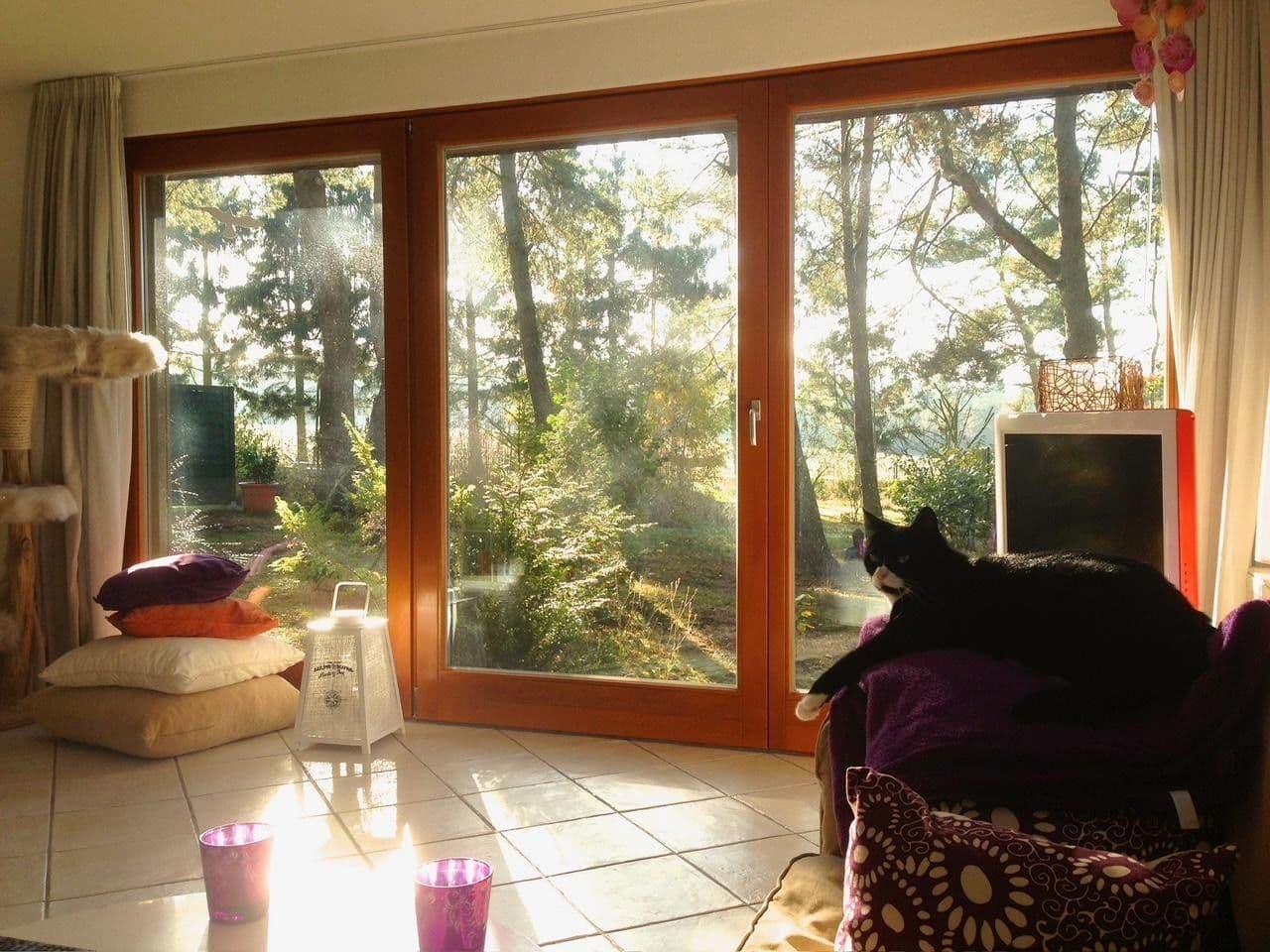 Predaj domu 115 m², pozemek 1.685 m², Meisenweg 16, Kirchseelte, Dolné Sasko Predaj domu 115 m², pozemek 1.685 m², Meisenweg 16, Kirchseelte, Dolné Sasko