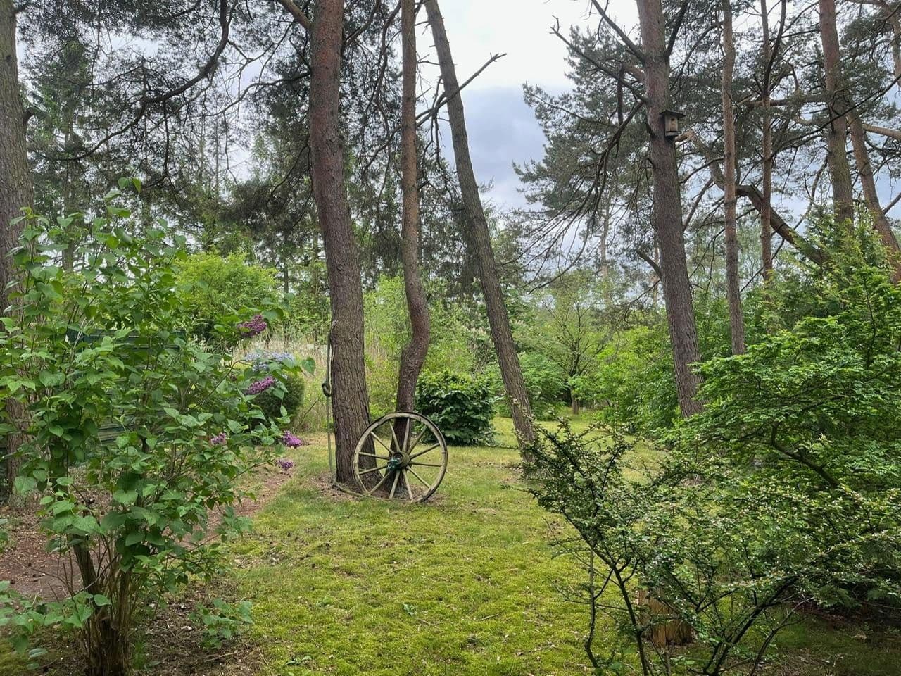 Predaj domu 115 m², pozemek 1.685 m², Meisenweg 16, Kirchseelte, Dolné Sasko Predaj domu 115 m², pozemek 1.685 m², Meisenweg 16, Kirchseelte, Dolné Sasko