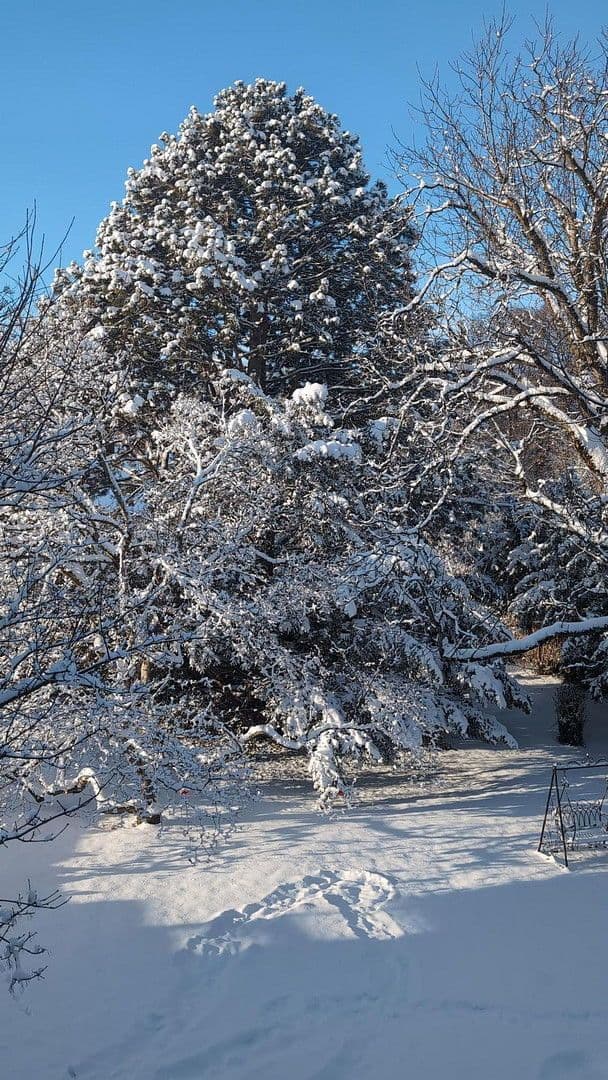 Prenájom bytu 3-izbový 97 m², Bad Reichenhall, Bavorsko Prenájom bytu 3-izbový 97 m², Bad Reichenhall, Bavorsko