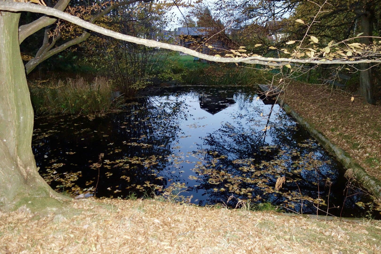 Predaj pozemku 2.592 m², St. Andrä, Korutánsko Predaj pozemku 2.592 m², St. Andrä, Korutánsko