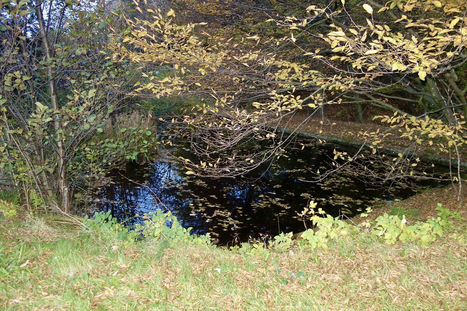 Predaj pozemku 2.592 m², St. Andrä, Korutánsko Predaj pozemku 2.592 m², St. Andrä, Korutánsko