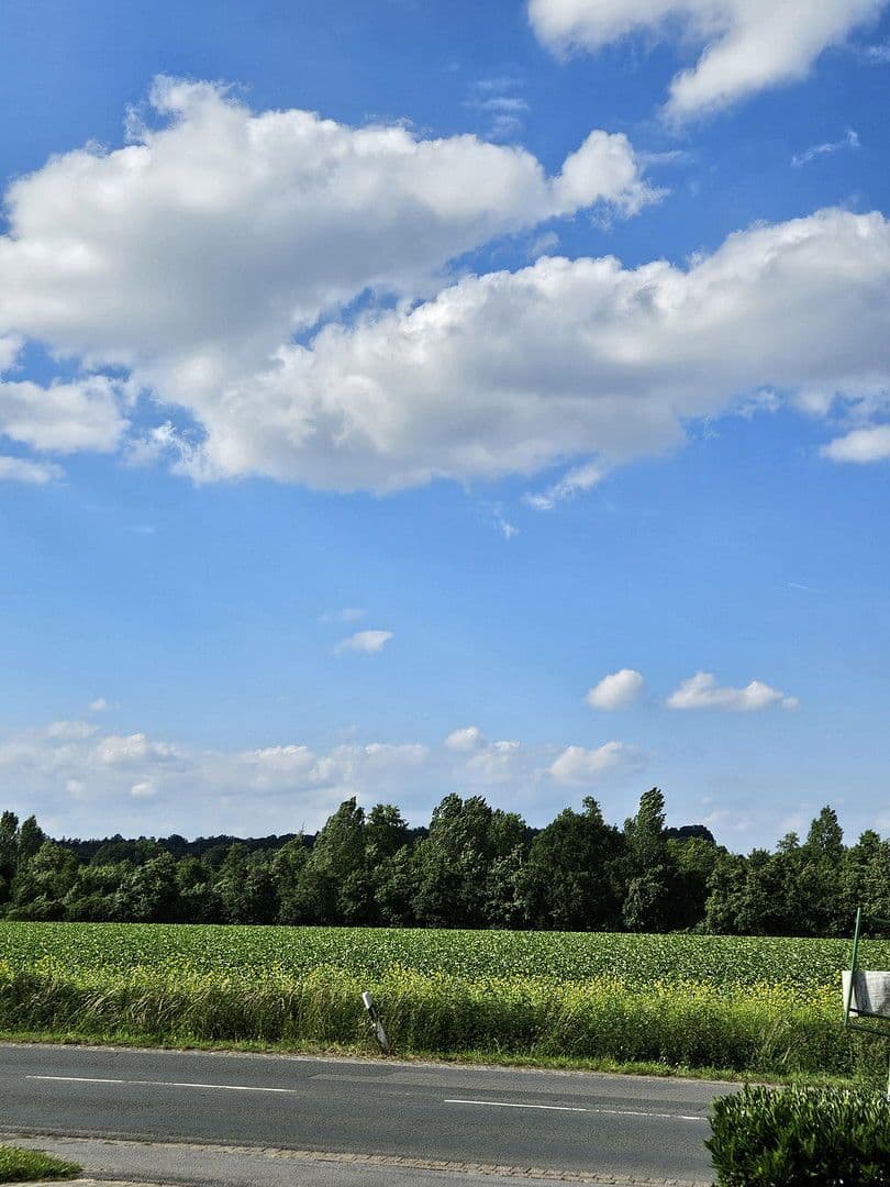Prenájom bytu 3-izbový 58 m², Babenhauser Str. 43, Bielefeld, Severné Porýnie - Westfálsko Prenájom bytu 3-izbový 58 m², Babenhauser Str. 43, Bielefeld, Severné Porýnie - Westfálsko
