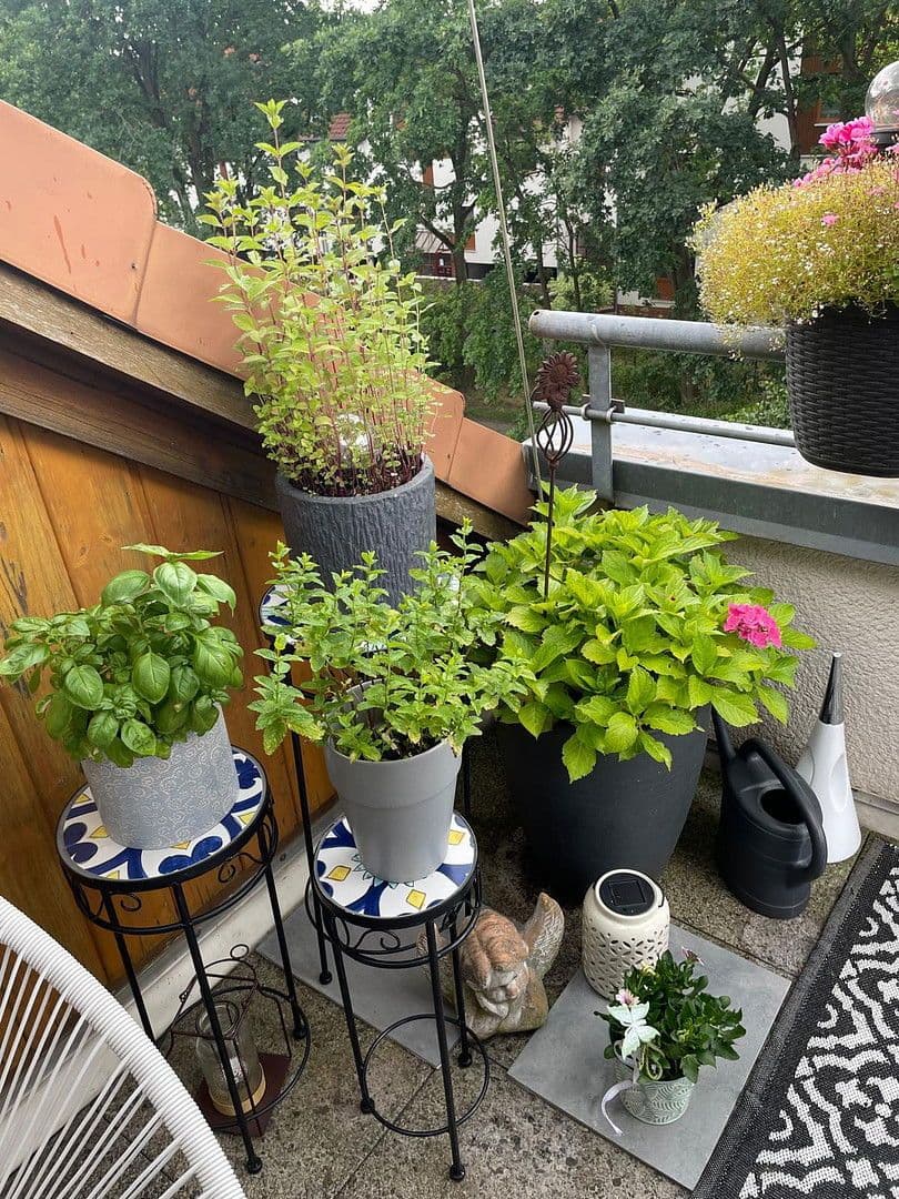 Prenájom bytu 2-izbový 90 m², Walter-Hallstein-Straße 14, Gifhorn, Dolné Sasko Prenájom bytu 2-izbový 90 m², Walter-Hallstein-Straße 14, Gifhorn, Dolné Sasko