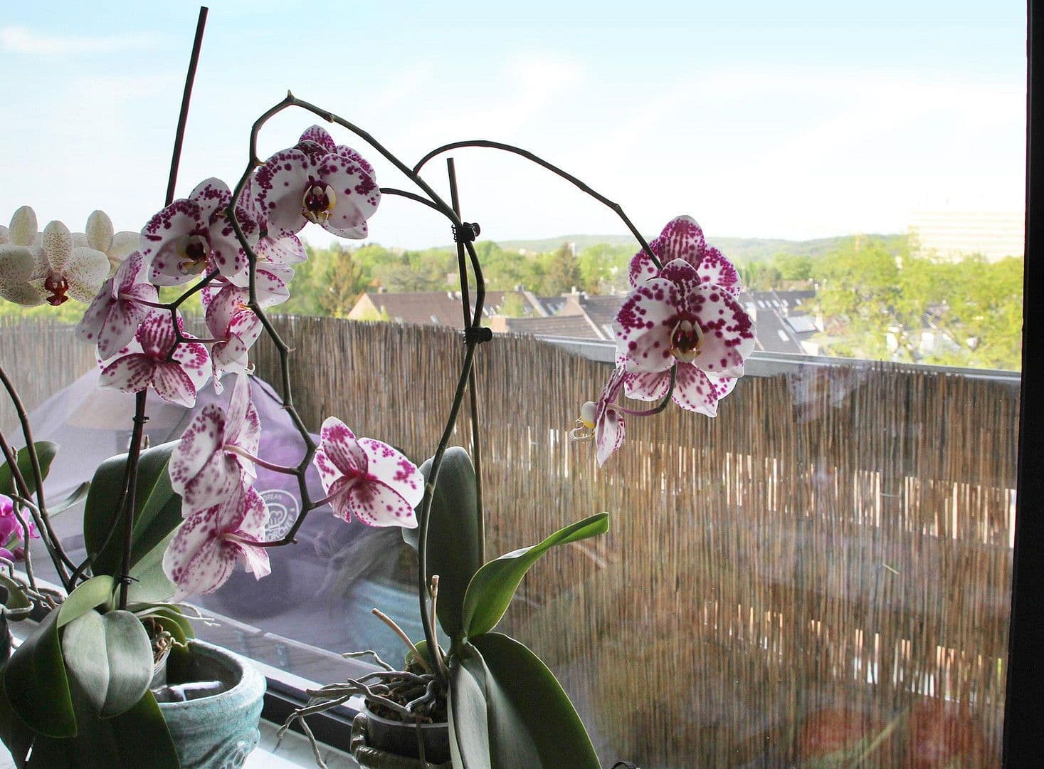 Predaj bytu 4-izbový 115 m², Goethestr. 56, Düsseldorf, Severné Porýnie - Westfálsko Predaj bytu 4-izbový 115 m², Goethestr. 56, Düsseldorf, Severné Porýnie - Westfálsko