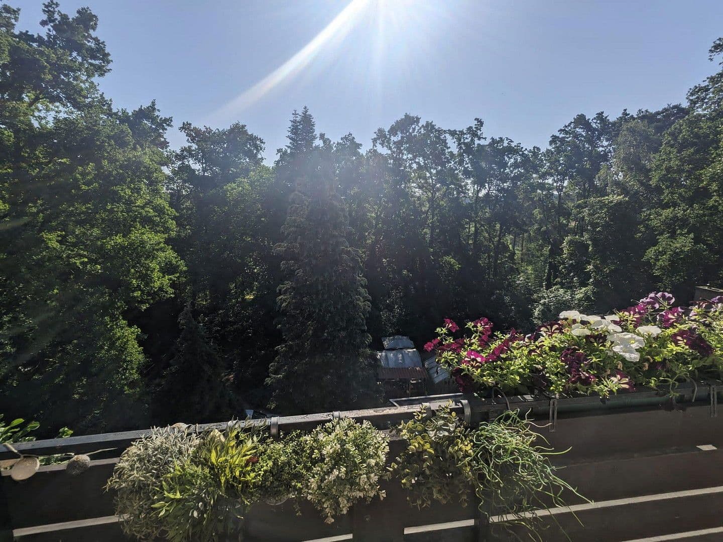 Prenájom bytu 4-izbový 120 m², Am Mariensteig 20a, Schwabach, Bavorsko Prenájom bytu 4-izbový 120 m², Am Mariensteig 20a, Schwabach, Bavorsko