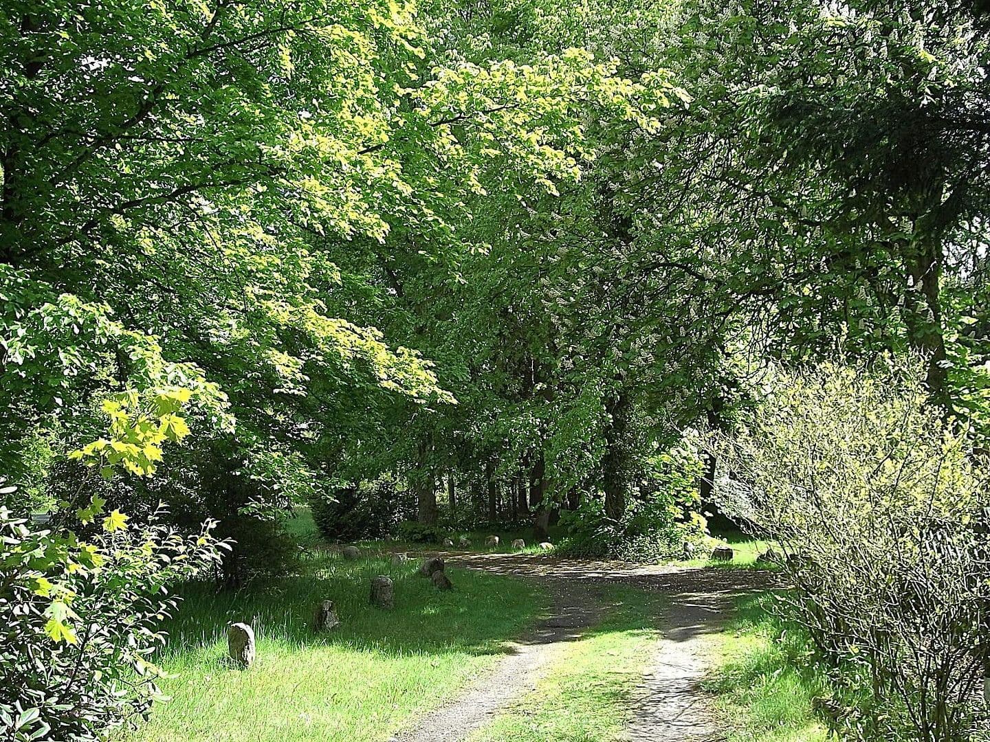 Prenájom bytu 2-izbový 90 m², Schneverdingen, Dolné Sasko Prenájom bytu 2-izbový 90 m², Schneverdingen, Dolné Sasko