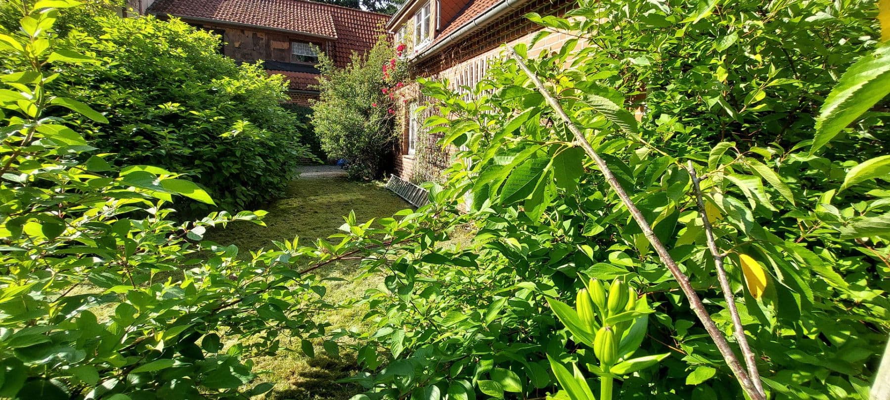 Prenájom bytu 2-izbový 90 m², Schneverdingen, Dolné Sasko Prenájom bytu 2-izbový 90 m², Schneverdingen, Dolné Sasko