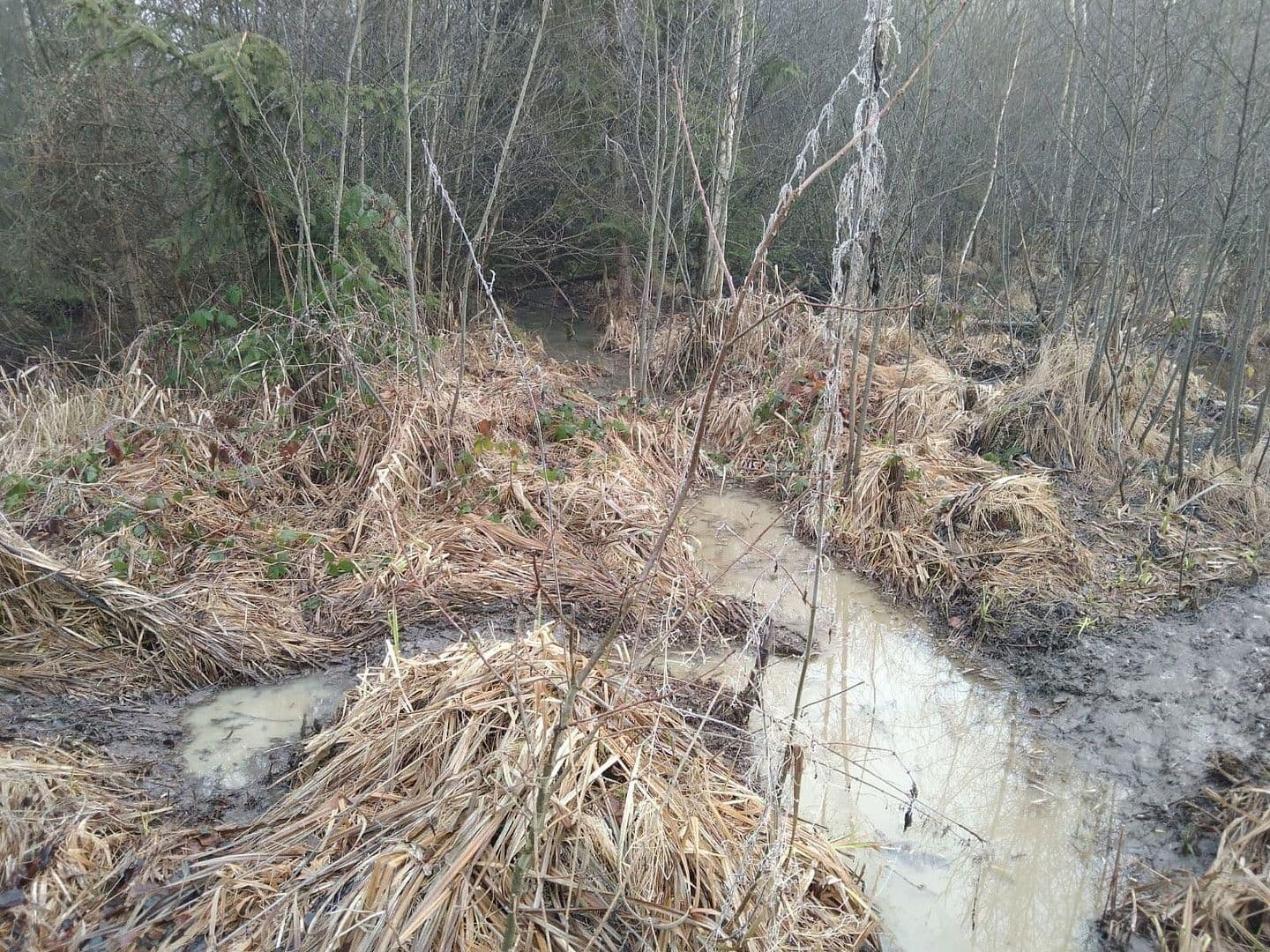 Predaj pozemku 21.462 m², Details bei Anfrage, Vitis, Dolné Rakúsko Predaj pozemku 21.462 m², Details bei Anfrage, Vitis, Dolné Rakúsko