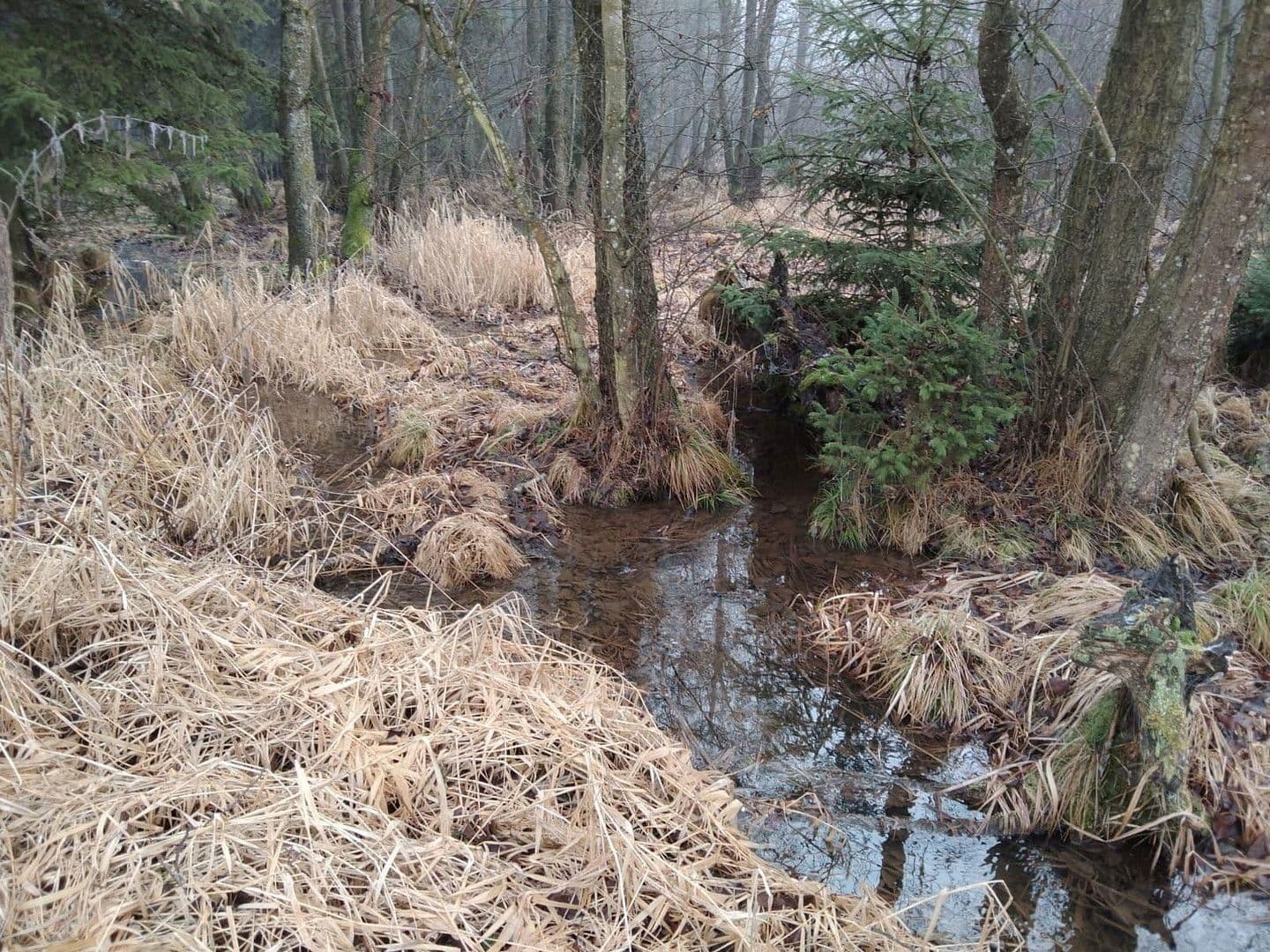 Predaj pozemku 21.462 m², Details bei Anfrage, Vitis, Dolné Rakúsko Predaj pozemku 21.462 m², Details bei Anfrage, Vitis, Dolné Rakúsko