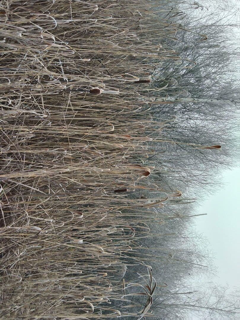 Predaj pozemku 21.462 m², Details bei Anfrage, Vitis, Dolné Rakúsko Predaj pozemku 21.462 m², Details bei Anfrage, Vitis, Dolné Rakúsko