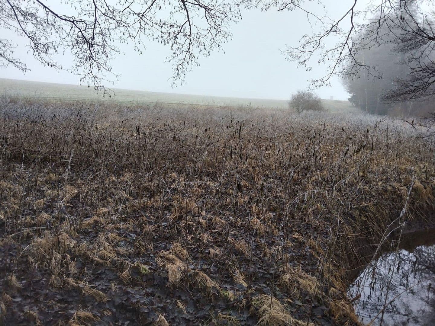 Predaj pozemku 21.462 m², Details bei Anfrage, Vitis, Dolné Rakúsko Predaj pozemku 21.462 m², Details bei Anfrage, Vitis, Dolné Rakúsko