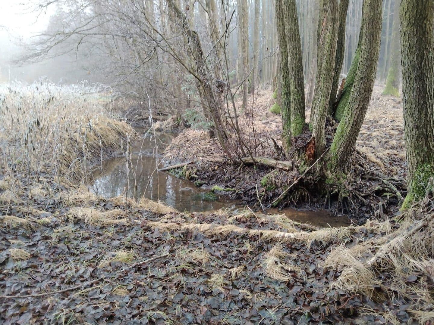 Predaj pozemku 21.462 m², Details bei Anfrage, Vitis, Dolné Rakúsko Predaj pozemku 21.462 m², Details bei Anfrage, Vitis, Dolné Rakúsko