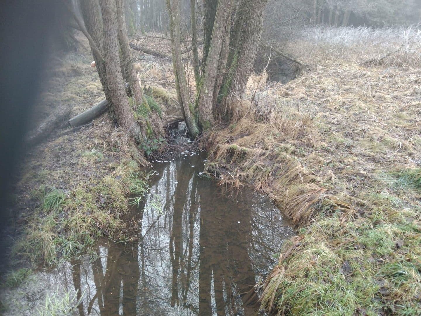 Predaj pozemku 21.462 m², Details bei Anfrage, Vitis, Dolné Rakúsko Predaj pozemku 21.462 m², Details bei Anfrage, Vitis, Dolné Rakúsko