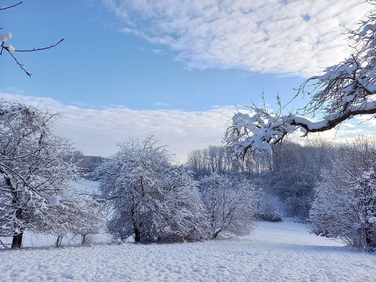 Prenájom rekreačného objektu, Markvartice, Královéhradecký kraj Prenájom rekreačného objektu, Markvartice, Královéhradecký kraj