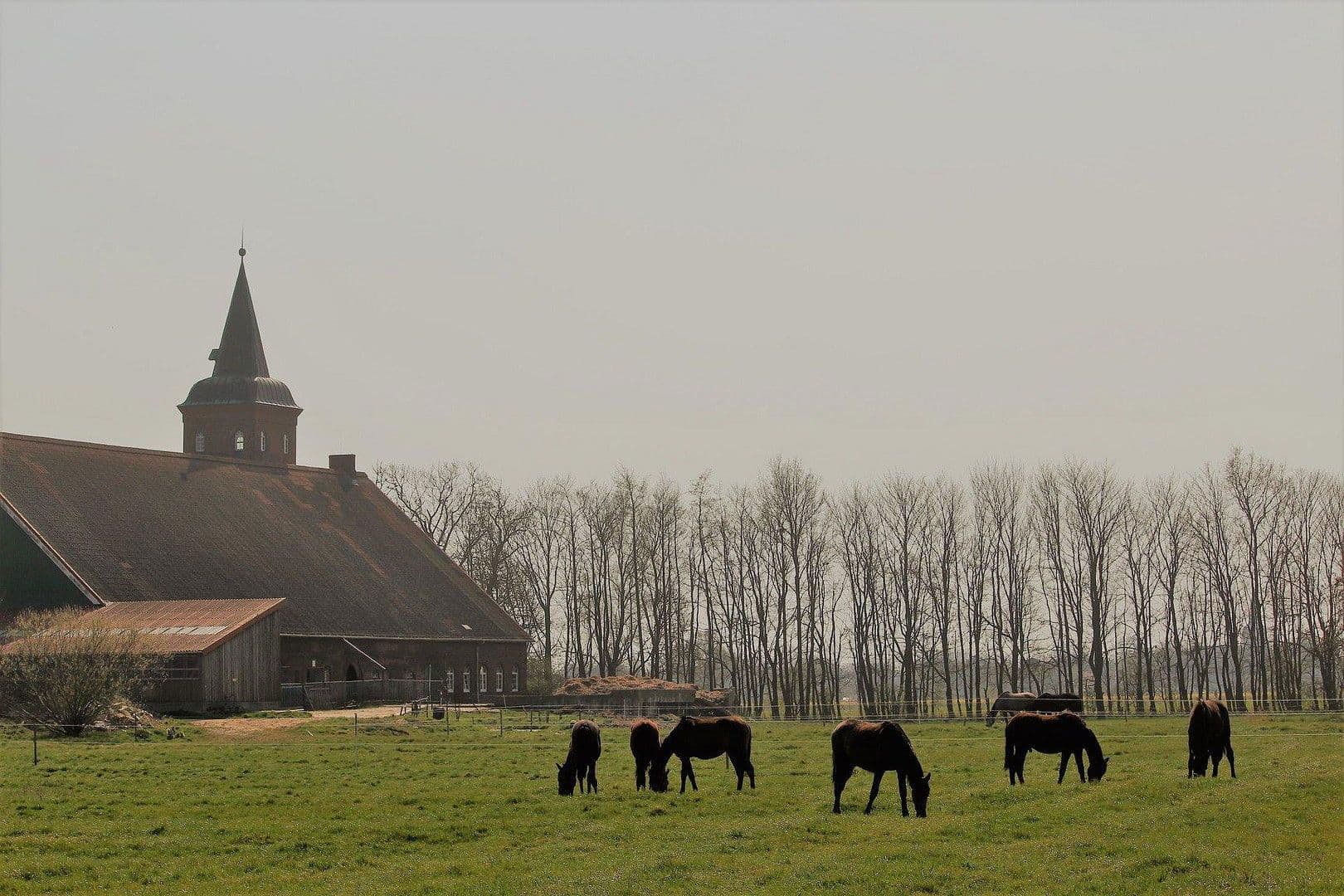 Predaj domu 380 m², pozemek 350.000 m², Domäne Hünkemann 1, Wurster Nordseeküste, Dolné Sasko Predaj domu 380 m², pozemek 350.000 m², Domäne Hünkemann 1, Wurster Nordseeküste, Dolné Sasko