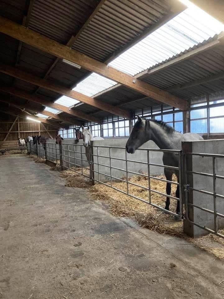 Predaj domu 380 m², pozemek 350.000 m², Domäne Hünkemann 1, Wurster Nordseeküste, Dolné Sasko Predaj domu 380 m², pozemek 350.000 m², Domäne Hünkemann 1, Wurster Nordseeküste, Dolné Sasko