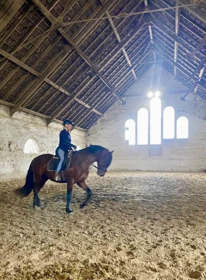 Predaj domu 380 m², pozemek 350.000 m², Domäne Hünkemann 1, Wurster Nordseeküste, Dolné Sasko Predaj domu 380 m², pozemek 350.000 m², Domäne Hünkemann 1, Wurster Nordseeküste, Dolné Sasko