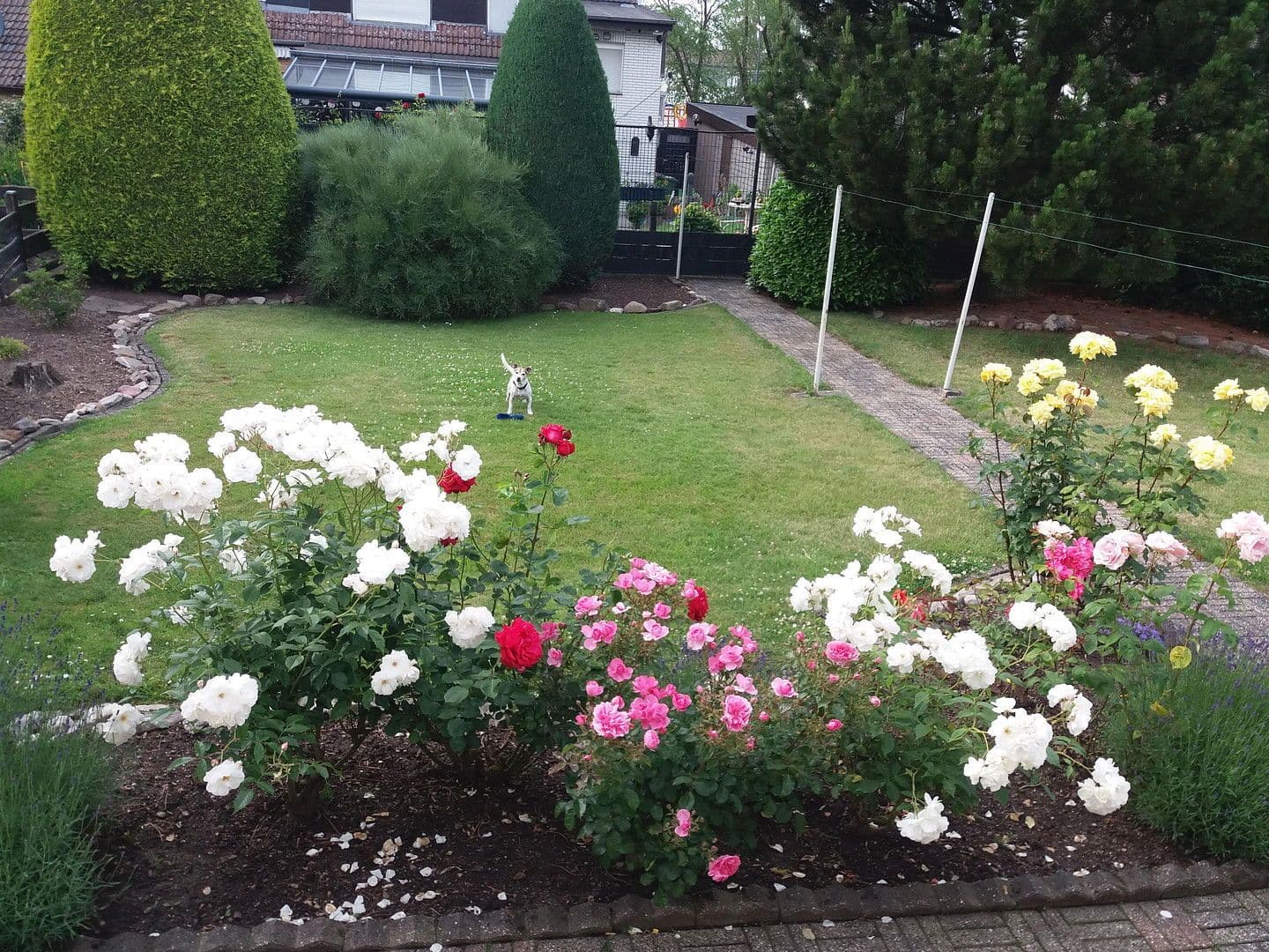 Predaj domu 105 m², pozemek 467 m², Alsdorf, Severné Porýnie - Westfálsko Predaj domu 105 m², pozemek 467 m², Alsdorf, Severné Porýnie - Westfálsko