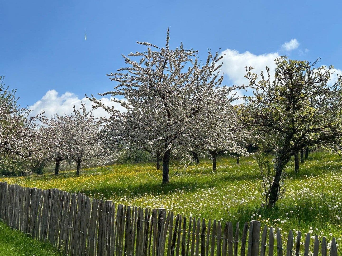 Predaj domu 220 m², pozemek 1.329 m², Stühlingen, Bádensko-Wurttembersko Predaj domu 220 m², pozemek 1.329 m², Stühlingen, Bádensko-Wurttembersko