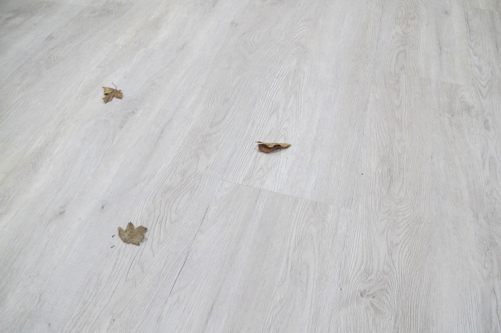 Prenájom bytu 3-izbový 70 m², Kiel, Šlezvicko-Holštajnsko Prenájom bytu 3-izbový 70 m², Kiel, Šlezvicko-Holštajnsko