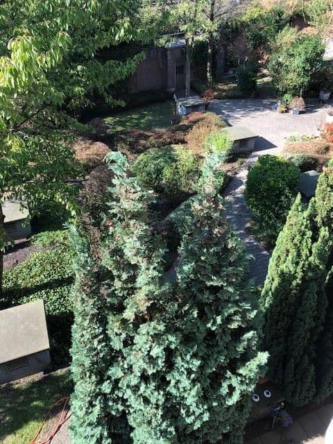 Prenájom bytu 1-izbový 36 m², Benzenbergstr. 51, Düsseldorf, Severné Porýnie - Westfálsko Prenájom bytu 1-izbový 36 m², Benzenbergstr. 51, Düsseldorf, Severné Porýnie - Westfálsko