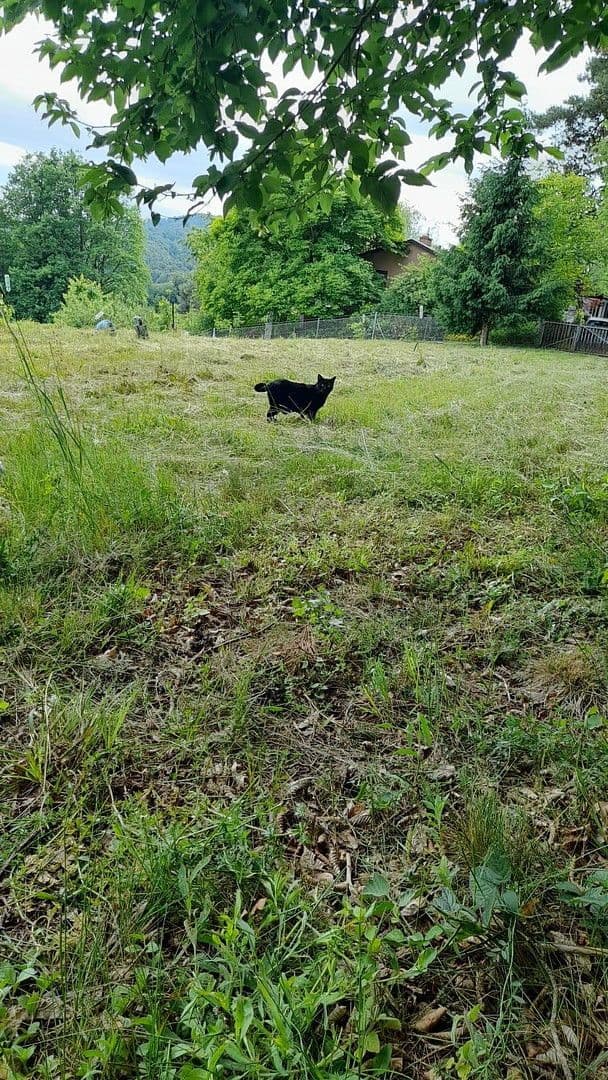 Predaj pozemku 1.016 m², Unterfahrenbach, Štajersko Predaj pozemku 1.016 m², Unterfahrenbach, Štajersko