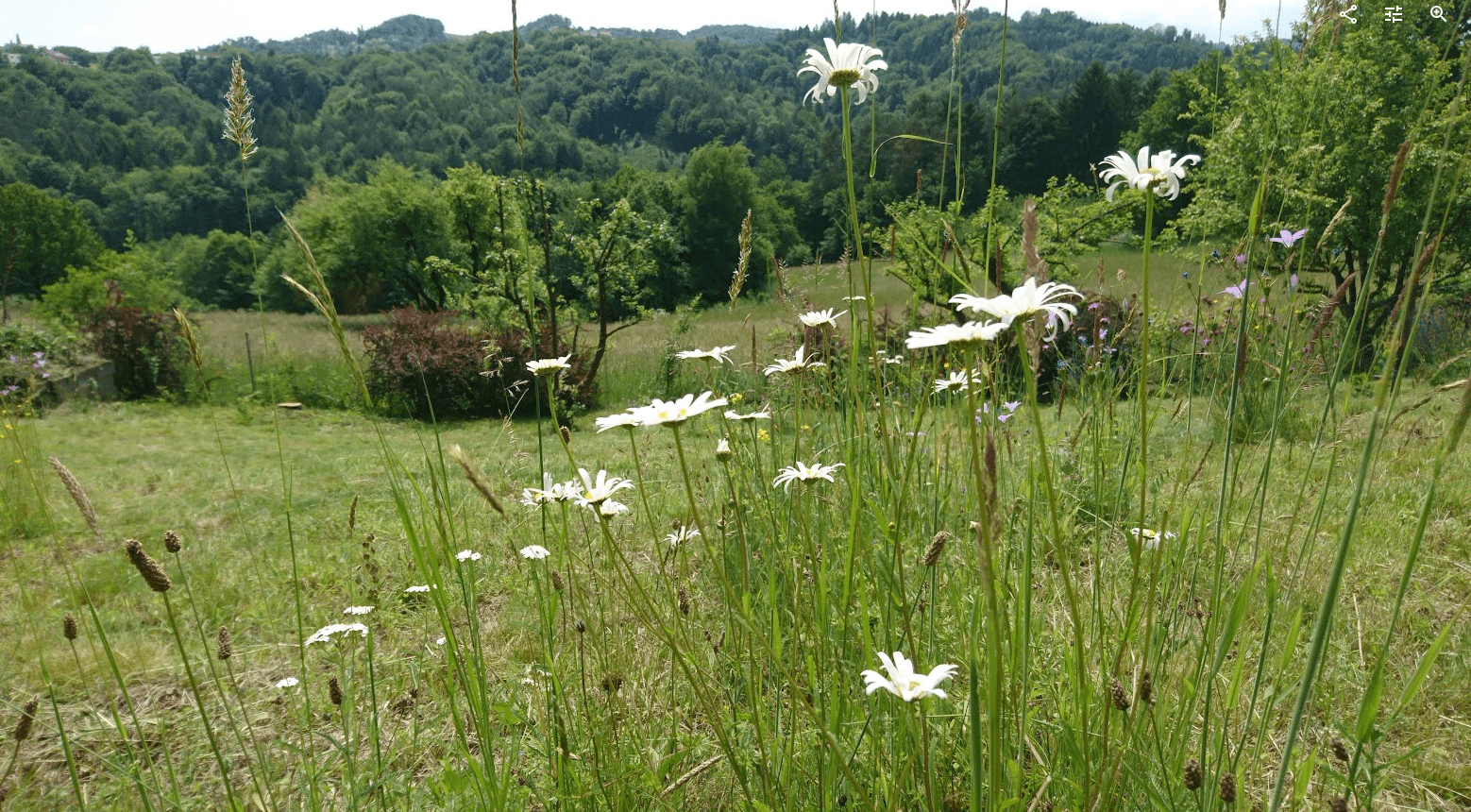 Predaj pozemku 1.016 m², Unterfahrenbach, Štajersko Predaj pozemku 1.016 m², Unterfahrenbach, Štajersko