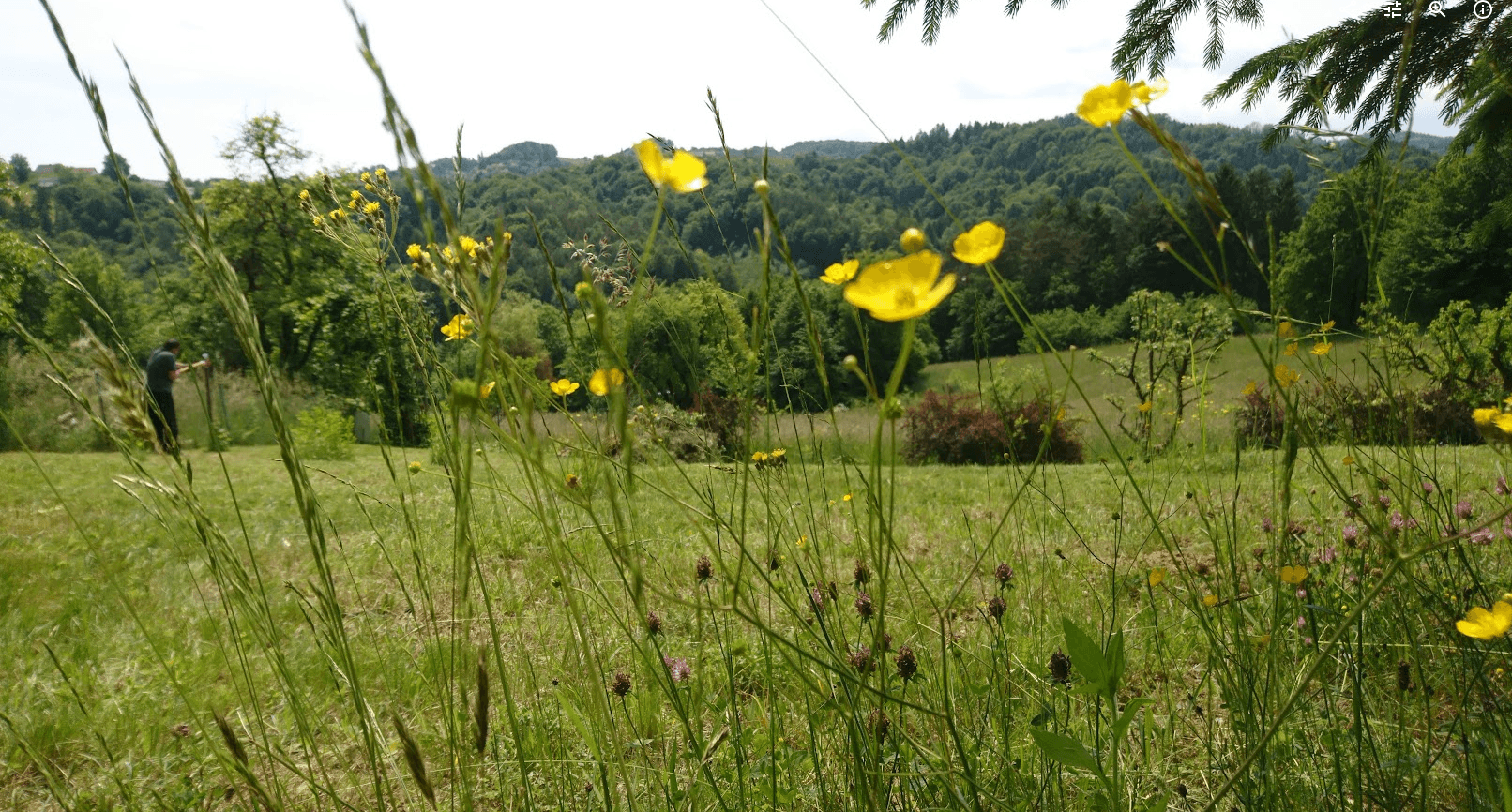 Predaj pozemku 1.016 m², Unterfahrenbach, Štajersko Predaj pozemku 1.016 m², Unterfahrenbach, Štajersko