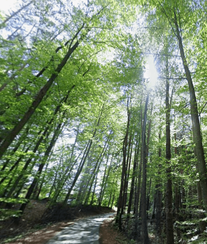 Predaj pozemku 1.016 m², Unterfahrenbach, Štajersko Predaj pozemku 1.016 m², Unterfahrenbach, Štajersko