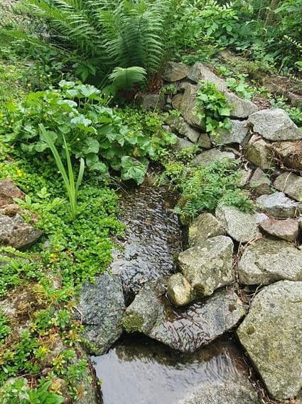 Predaj domu 206 m², pozemek 522 m², Badenweiler, Bádensko-Wurttembersko Predaj domu 206 m², pozemek 522 m², Badenweiler, Bádensko-Wurttembersko