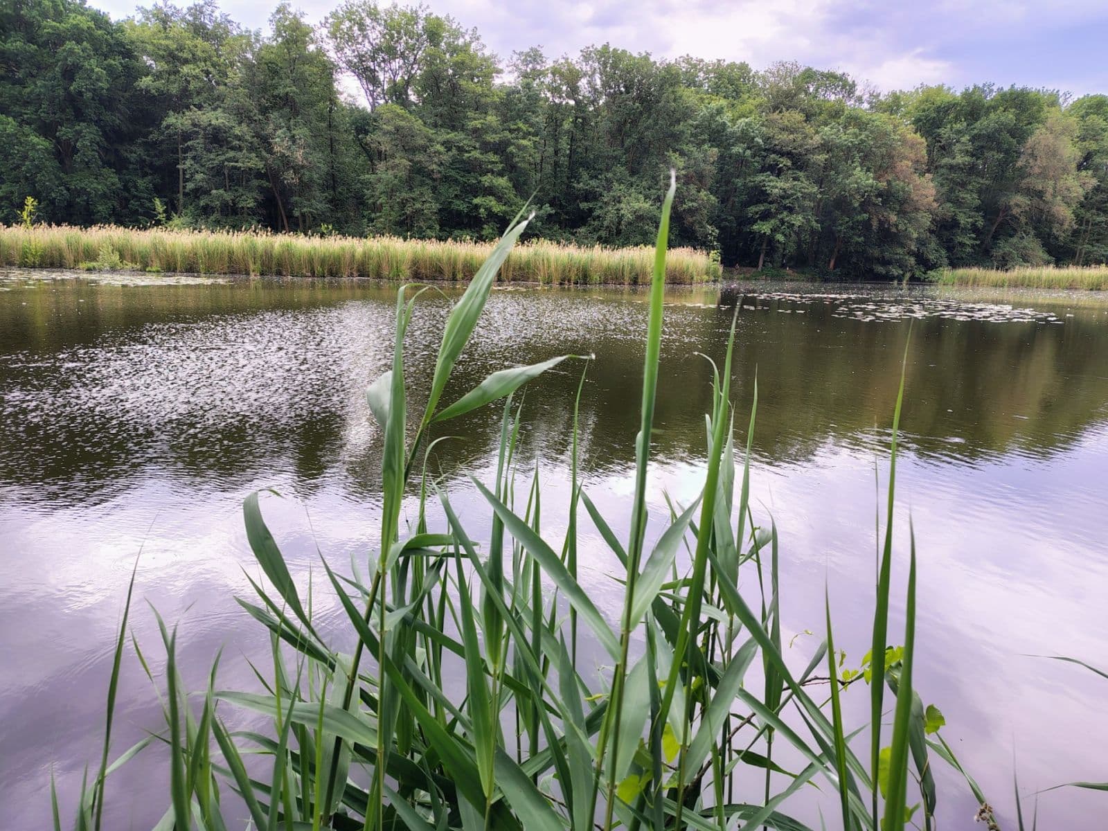 Predaj rekreačného objektu 27 m², pozemek 27 m², Neratovice, Středočeský kraj Predaj rekreačného objektu 27 m², pozemek 27 m², Neratovice, Středočeský kraj