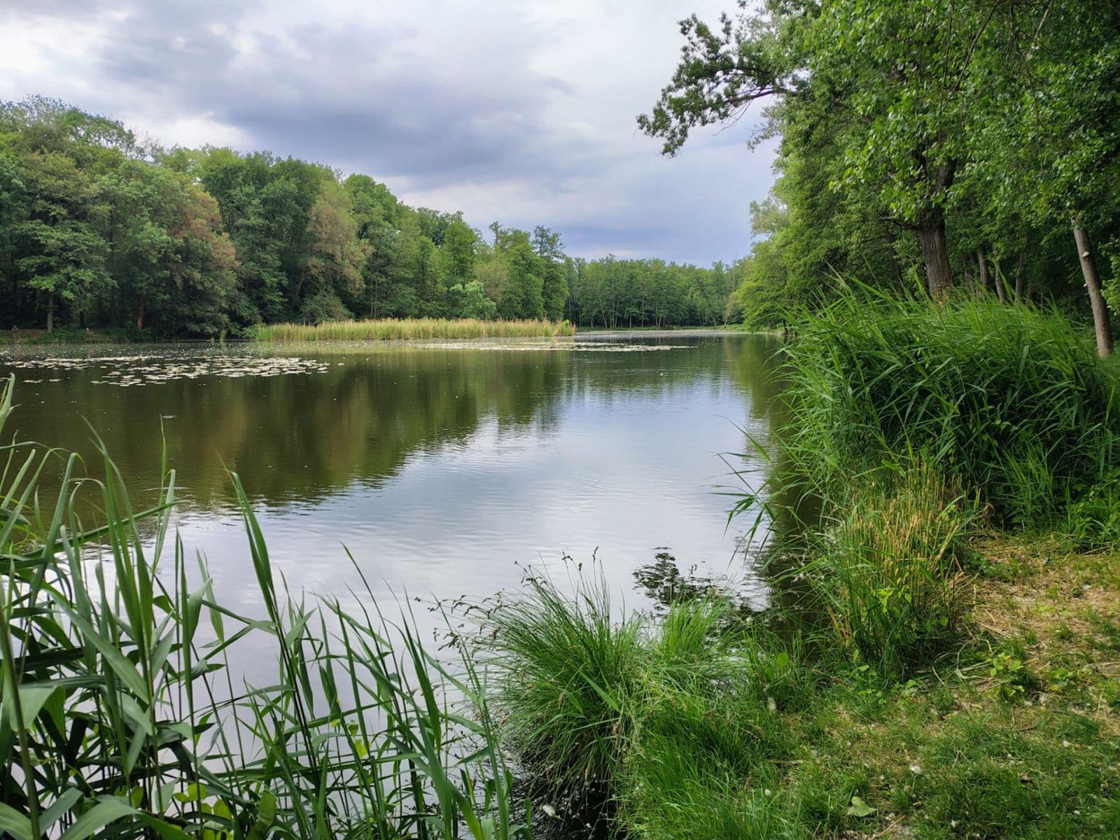 Predaj rekreačného objektu 27 m², pozemek 27 m², Neratovice, Středočeský kraj Predaj rekreačného objektu 27 m², pozemek 27 m², Neratovice, Středočeský kraj