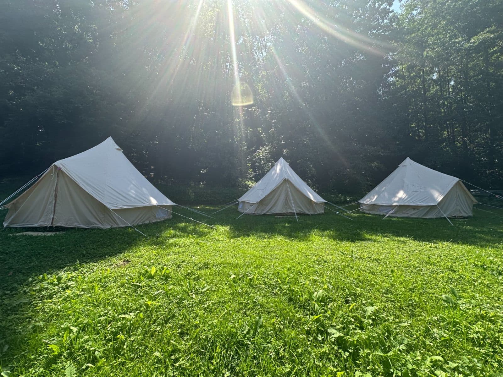 Prenájom rekreačného objektu 95 m², pozemek 1.504 m², Libuň, Královéhradecký kraj Prenájom rekreačného objektu 95 m², pozemek 1.504 m², Libuň, Královéhradecký kraj