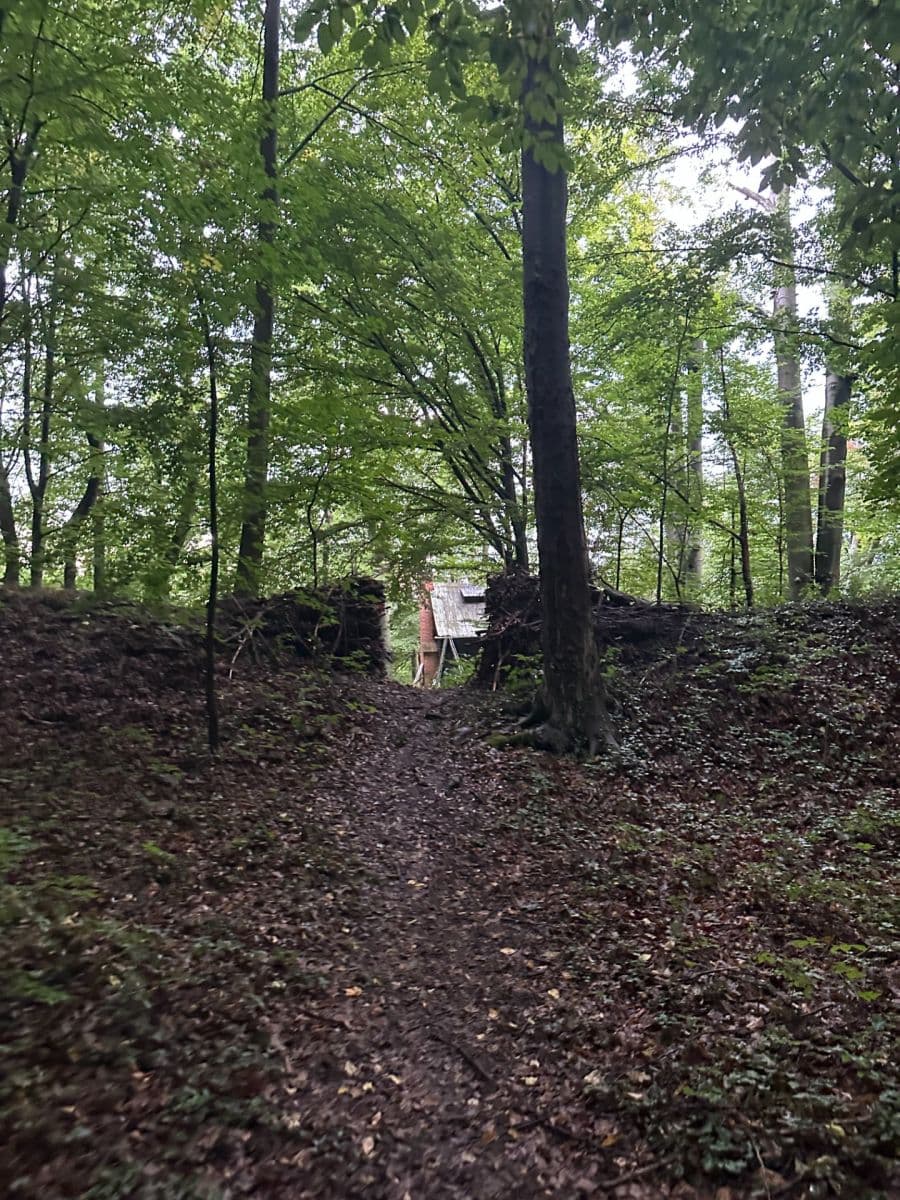 Prenájom rekreačného objektu 30 m², pozemek 372 m², Zářecká Lhota, Pardubický kraj Prenájom rekreačného objektu 30 m², pozemek 372 m², Zářecká Lhota, Pardubický kraj